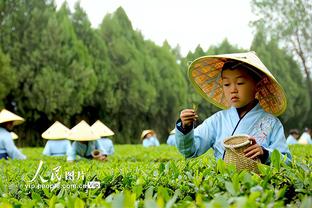 啊这❓纽卡门将弃门而出！特奥半场超级大空门直接打偏